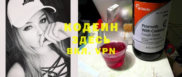 прущие крисы Няндома