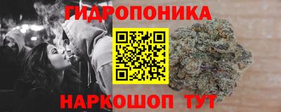 молекула духа Донской