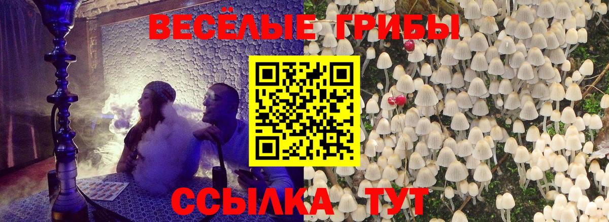 Галлюциногенные грибы мицелий  Галлюциногенные грибы прущие грибы  Вход с VPN  Отрадное 